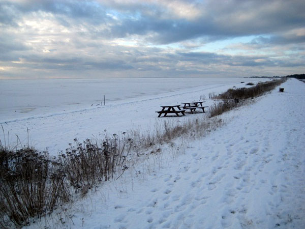 Vinter 2010