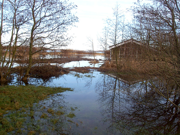 Hus på Sølvmågevej