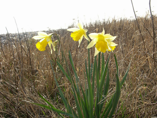 Påsken 2009