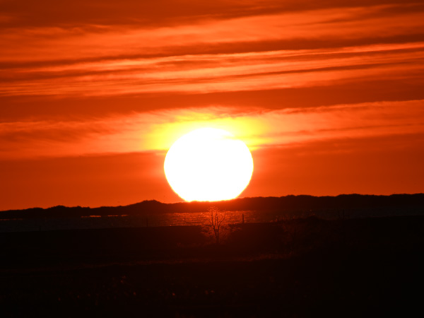 Solnegang Krig Vig