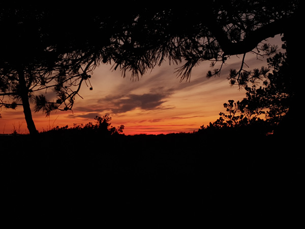 Solnegang Hættemågevej