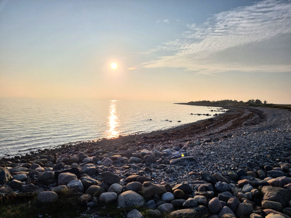 Solen i tågen