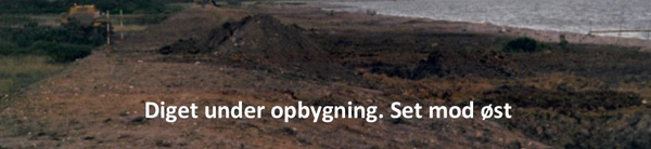 Nyt dige mod syd